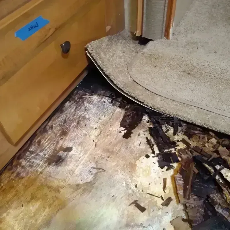 Wood Floor Water Damage in Las Vegas, NV